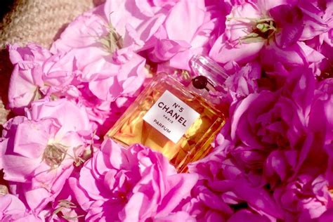 chanel no 5 rose